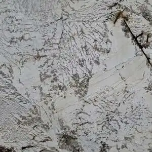 Blanc Du Blanc White Polished 3cm