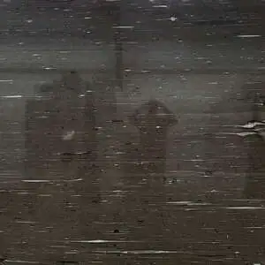 Cygnus Quartzite Honed 3CM