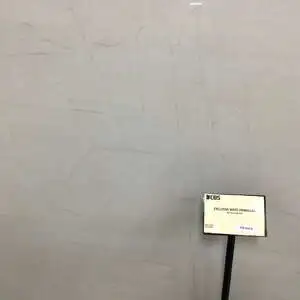 Exclusive White Primera Quartzite Polished 3CM