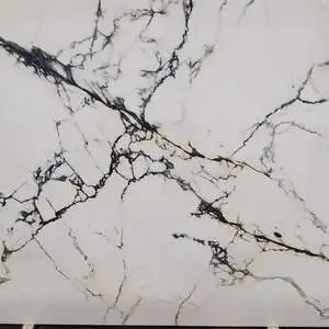 Epic Paonazzo Polished 12MM