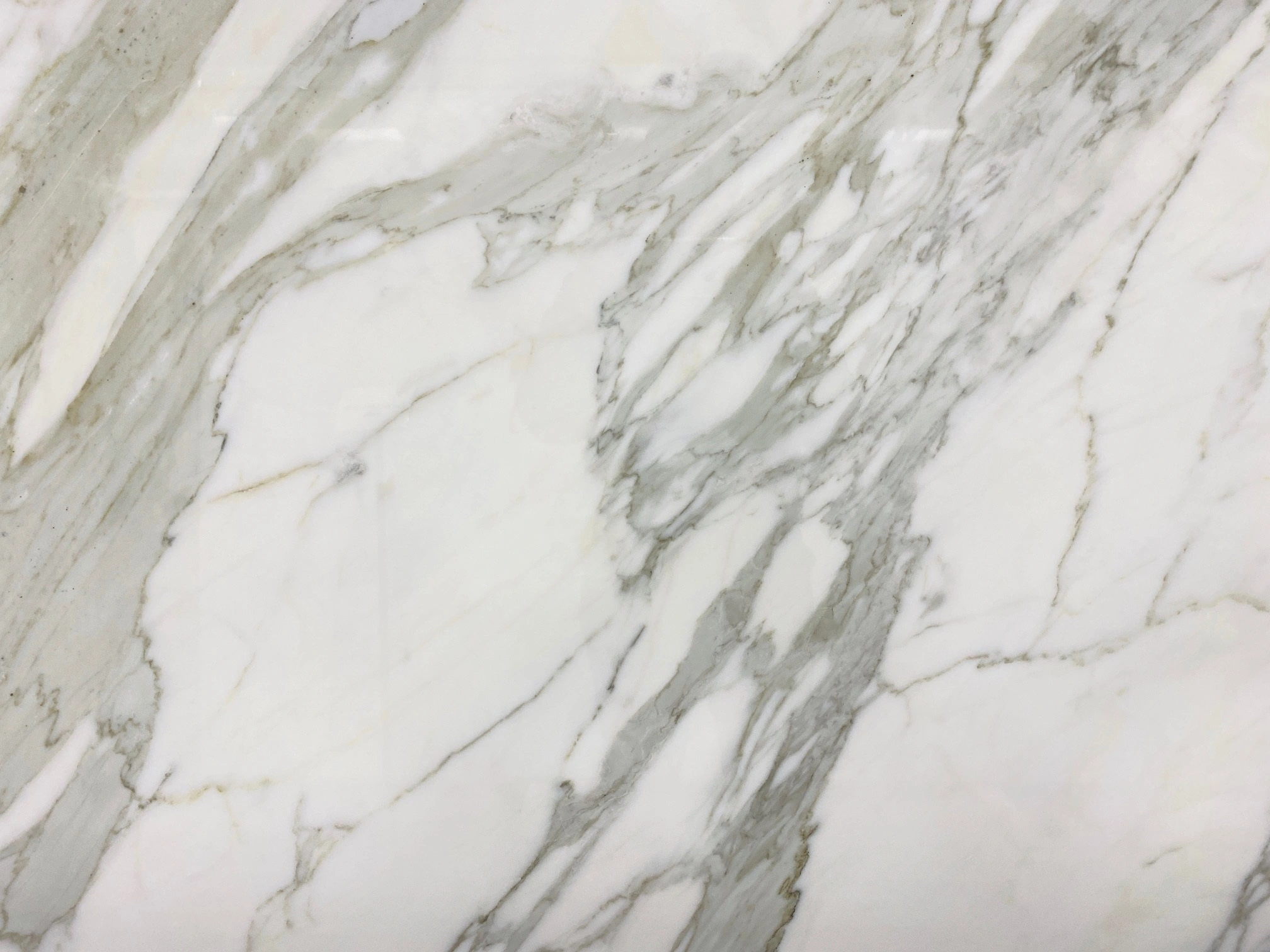 Calacatta Gold Polished