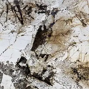 Blanc du Blanc Granite Slab Countertop