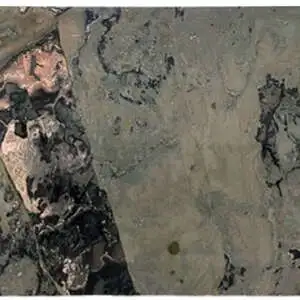 Verde Bamboo Cross Cut Granite Slab Countertop