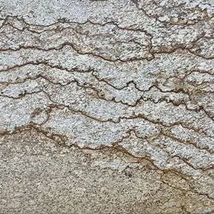 Verniz Tropical Granite Slab