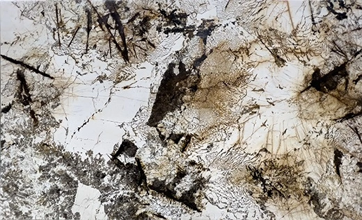 Blanc du Blanc Granite Slab