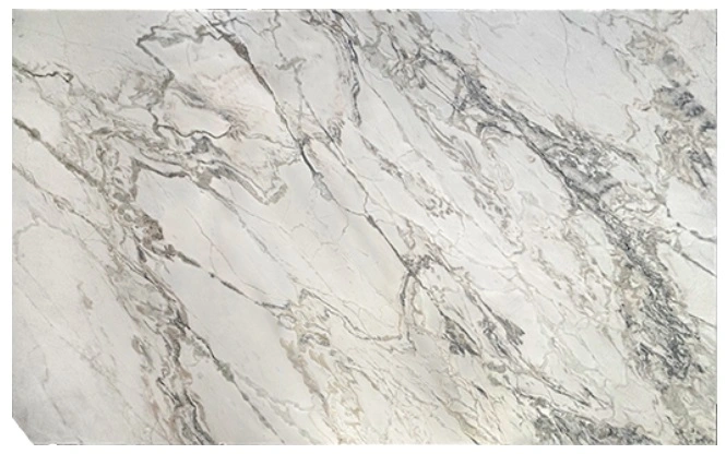Calacatta Giotto Marble Slab Honed