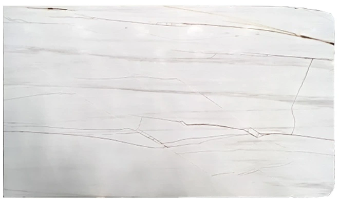 Dolomite Venata Marble Slab