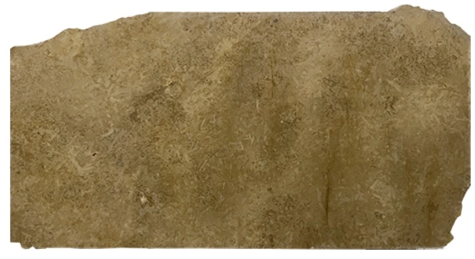 Oro Antico Limestone Slab