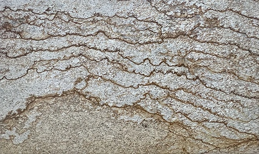 Verniz Tropical Granite Slab