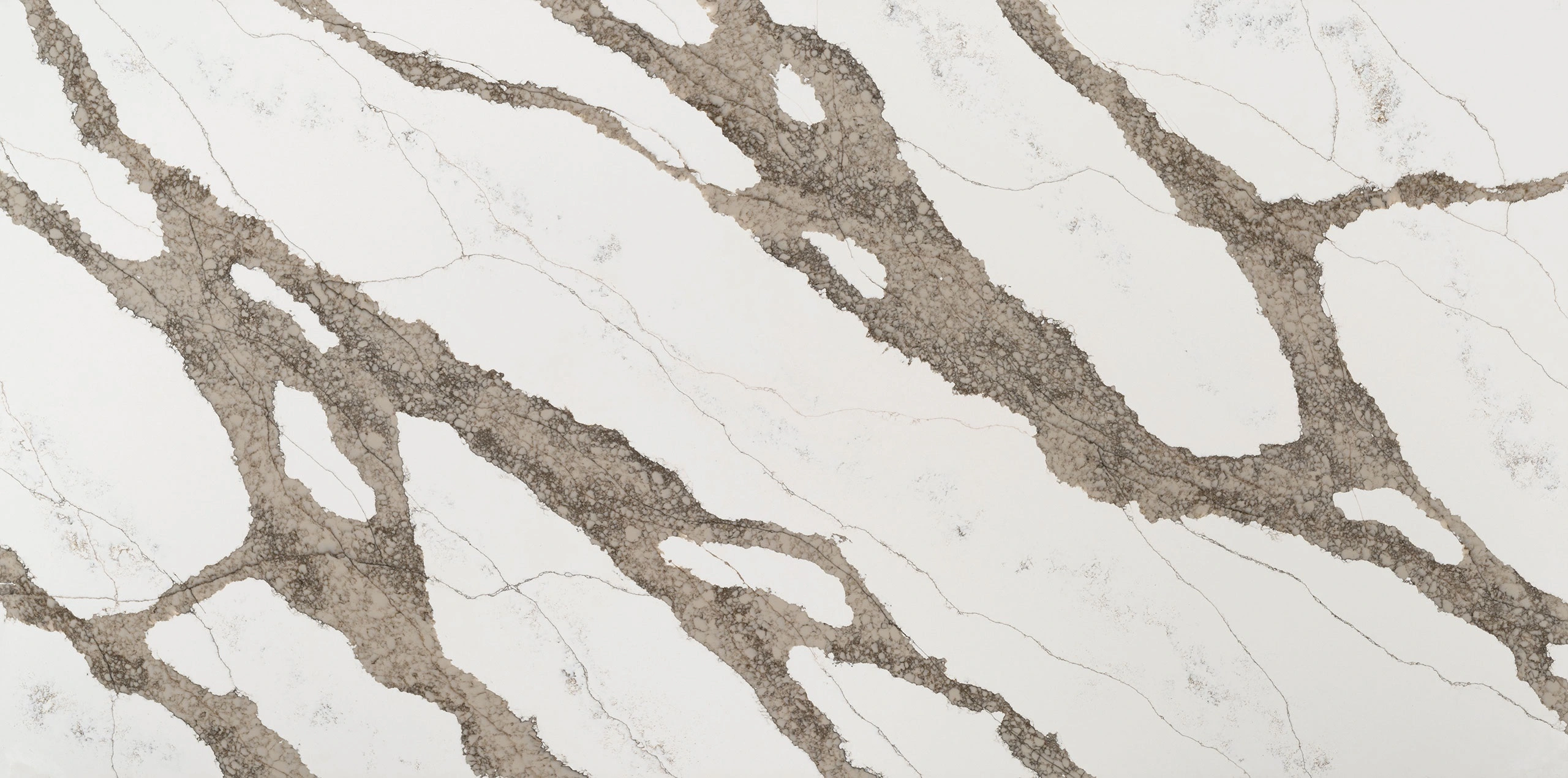 Safari Delta Safari Delta