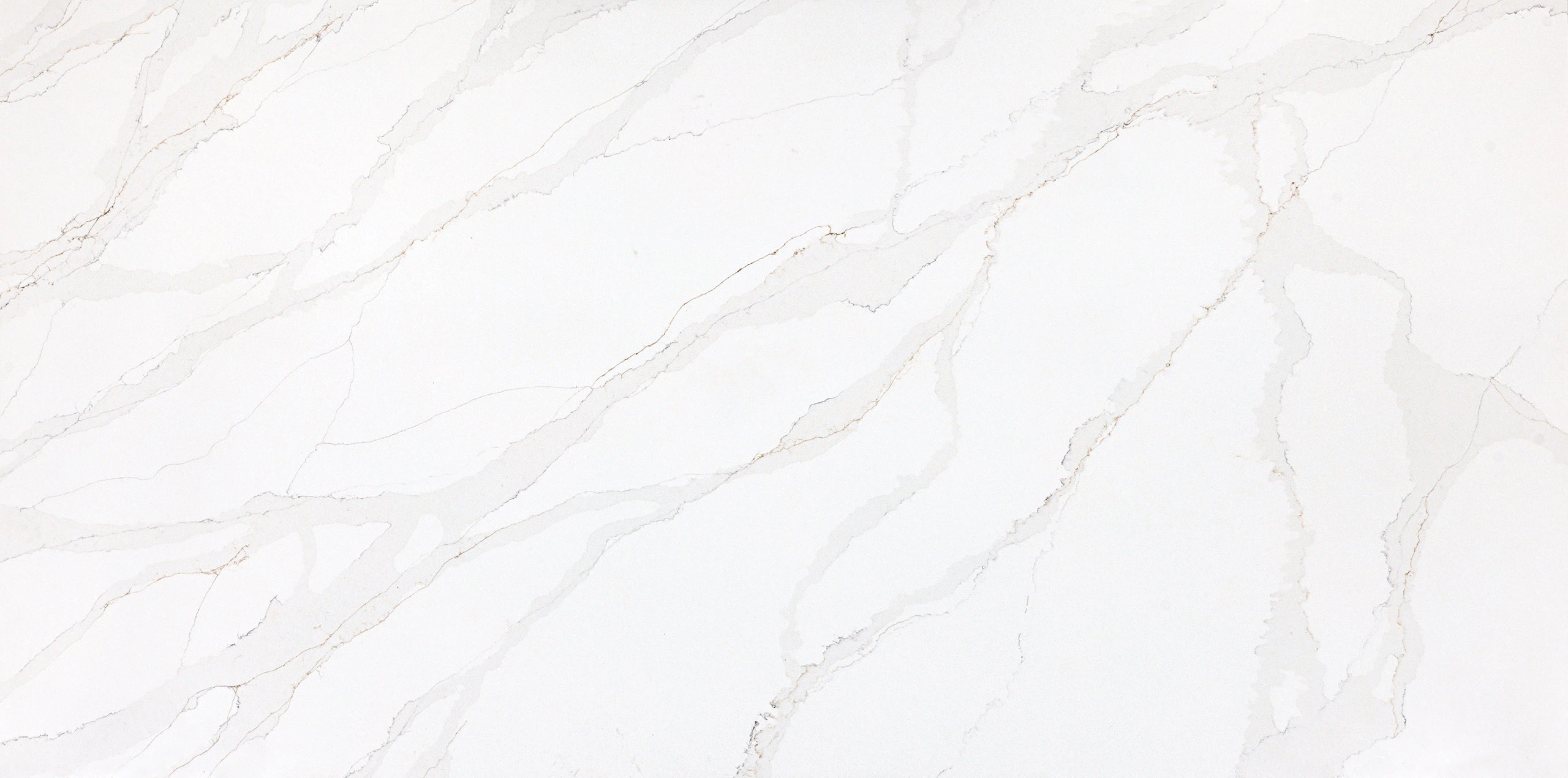 White Aurora White Aurora