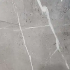 Pietra Grey Lucidato