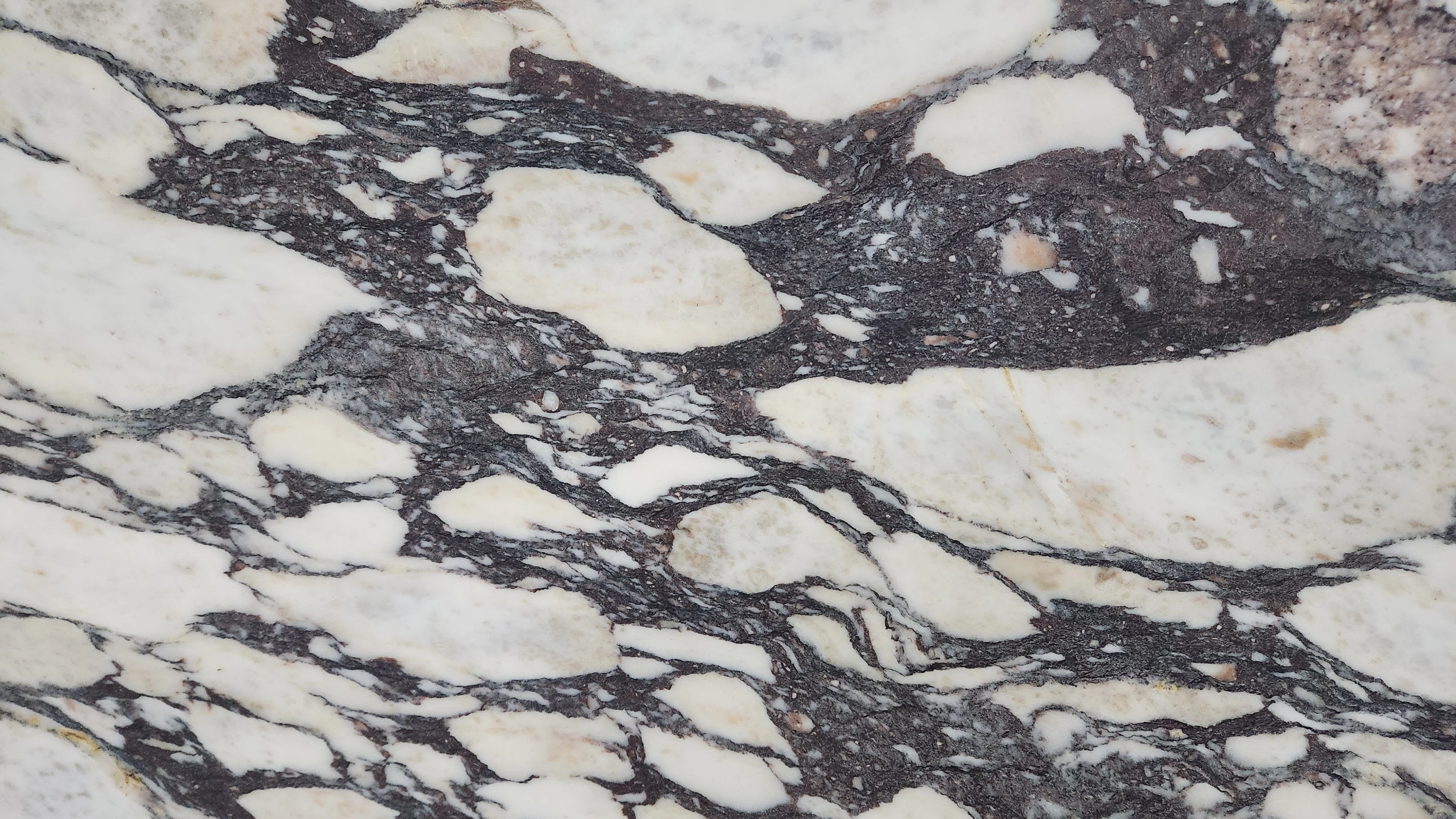 2cm Calacatta Viola Extra Honed