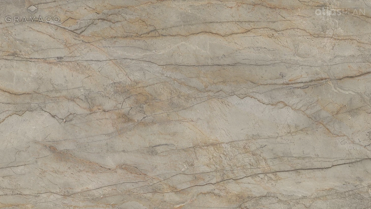 SILVER ROOT SILK AP
