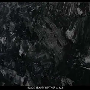 BLACK BEAUTY LEATHER 27422