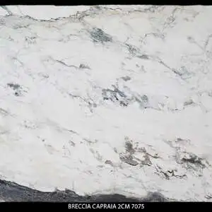BRECCIA CAPRAIA 7075
