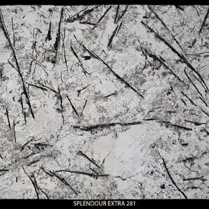 SPLENDOUR EXTRA 281