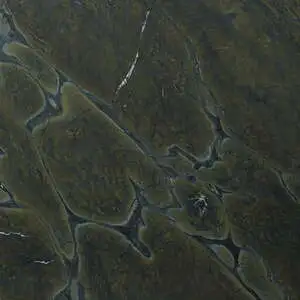 VITORIA REGIA – 1678