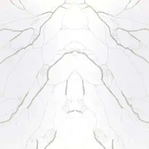 Nouvel Calacatta Laurel Bookmatched Polished Mineral Surface