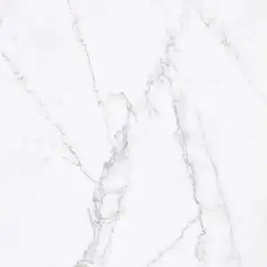 Colorado Lincoln/Block 81