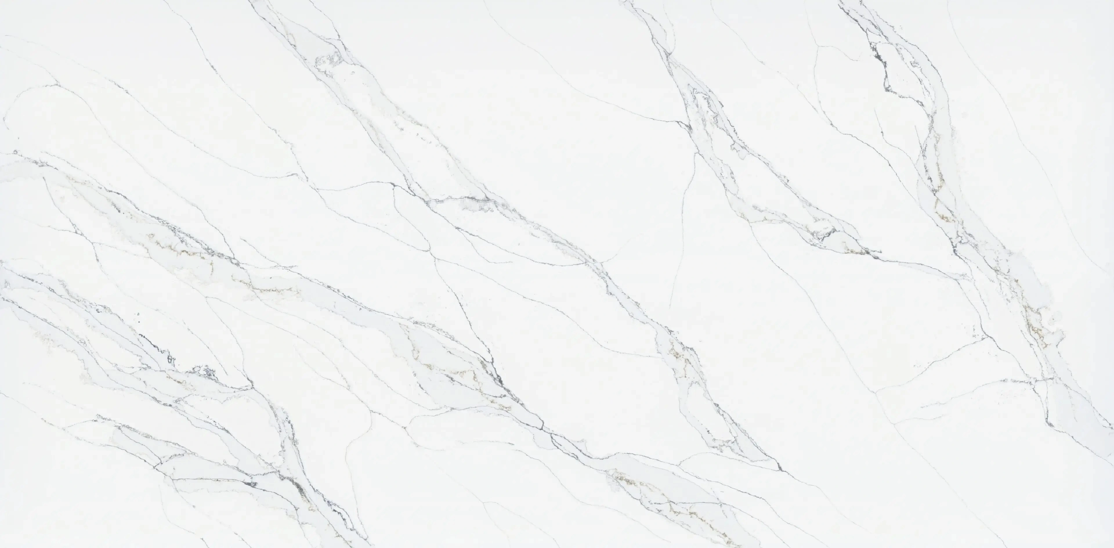 Unique Calacatta Macchia