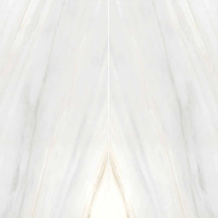 Polished Porcelain Bookmatched Slab in Bianco Lasa