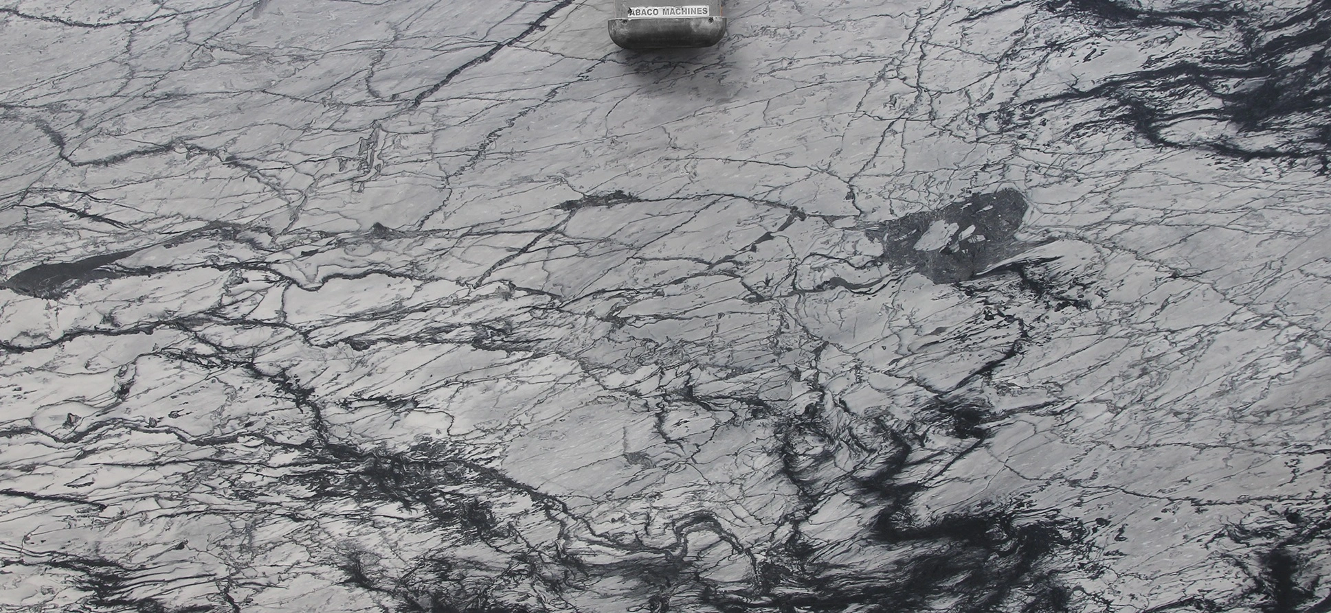 Grey Pollock