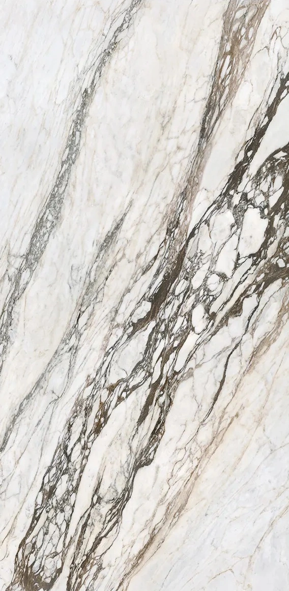 Calacatta Picasso Calacatta Picasso