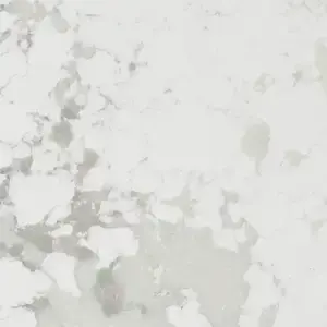 Vena