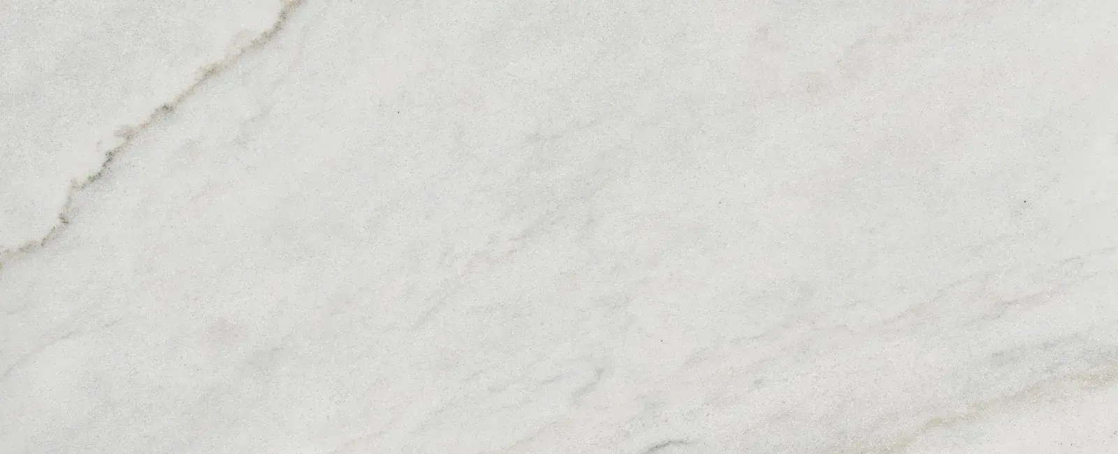 Poplar White