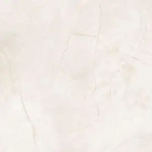 Pulpis Ivory P319