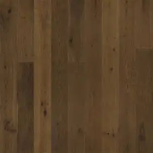 Mulholland Oak