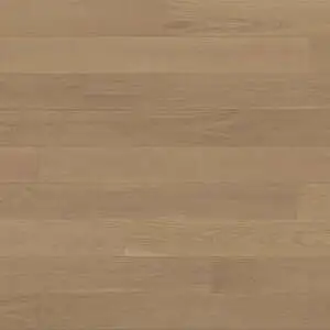 Stellar-GAO6