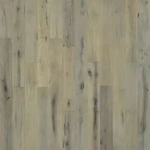 Alcott Maple