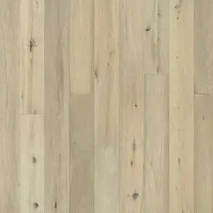 Lotus Oak