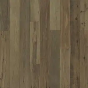 Bergamot Oak