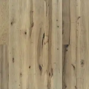 Orris Maple