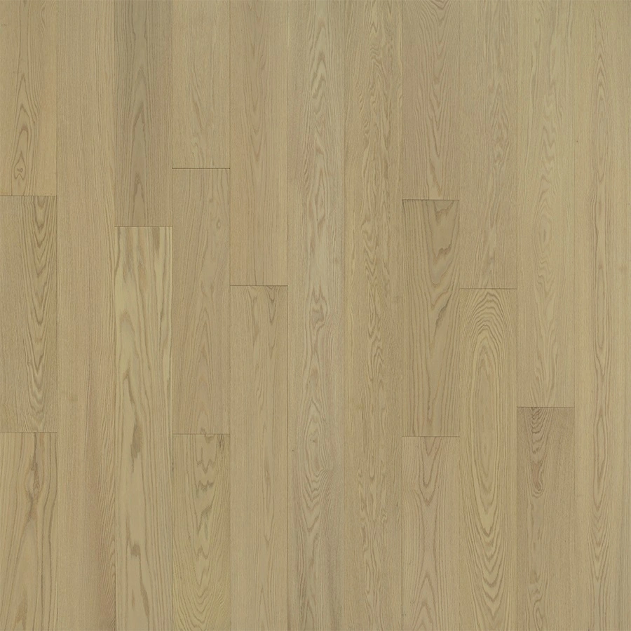 Aglow Oak