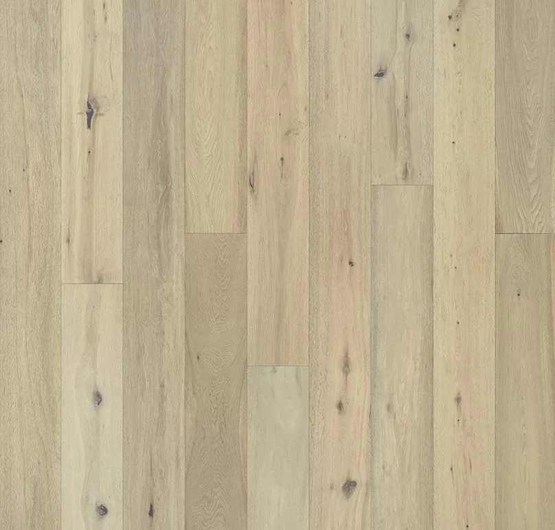 Lotus Oak