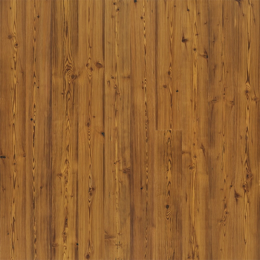 Amber Pine