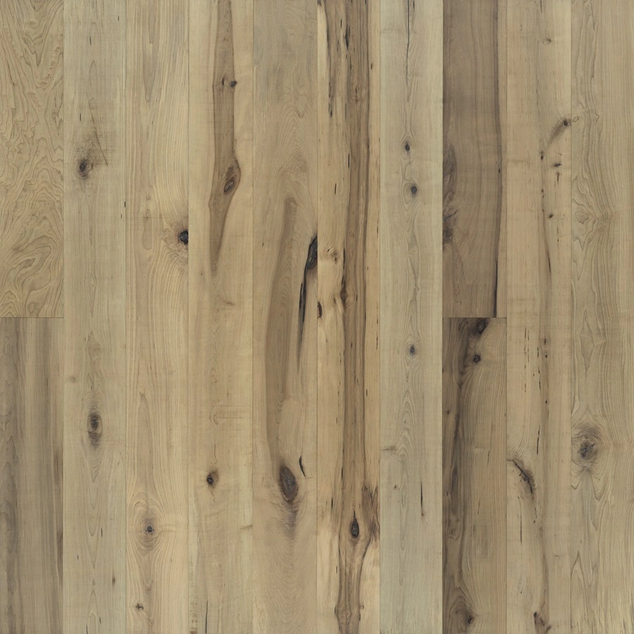 Orris Maple