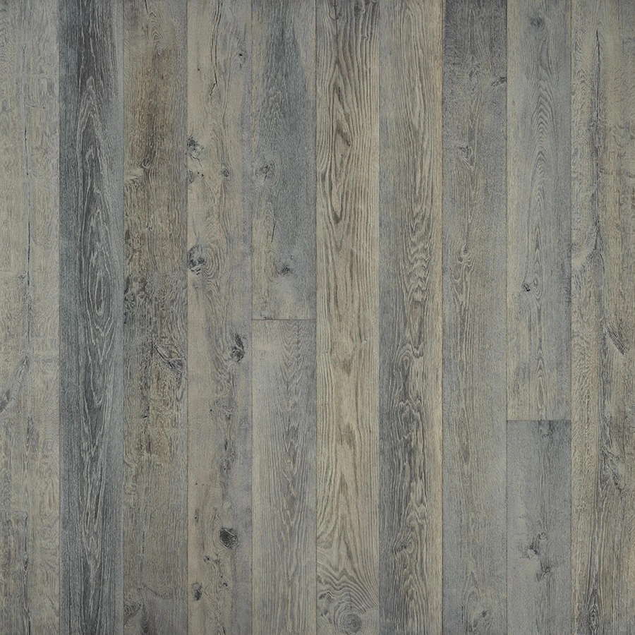 Silver Needle Oak