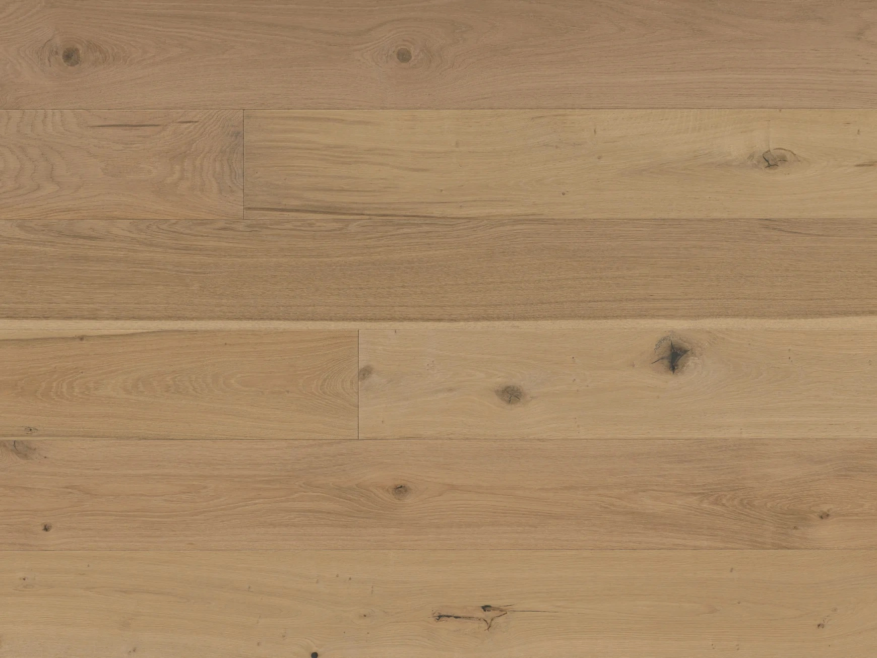Avalon European Oak Tristan