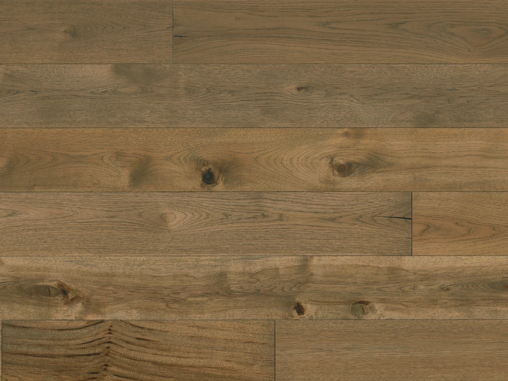 Avalon Hickory Kay