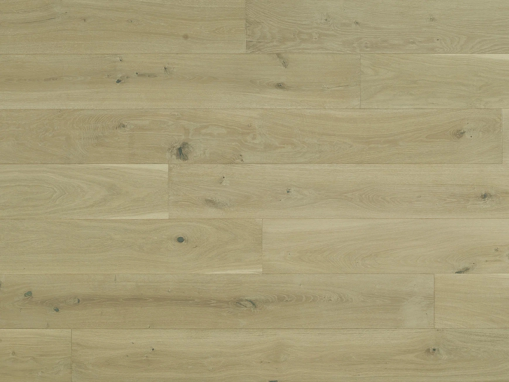 Costa European Oak Luna