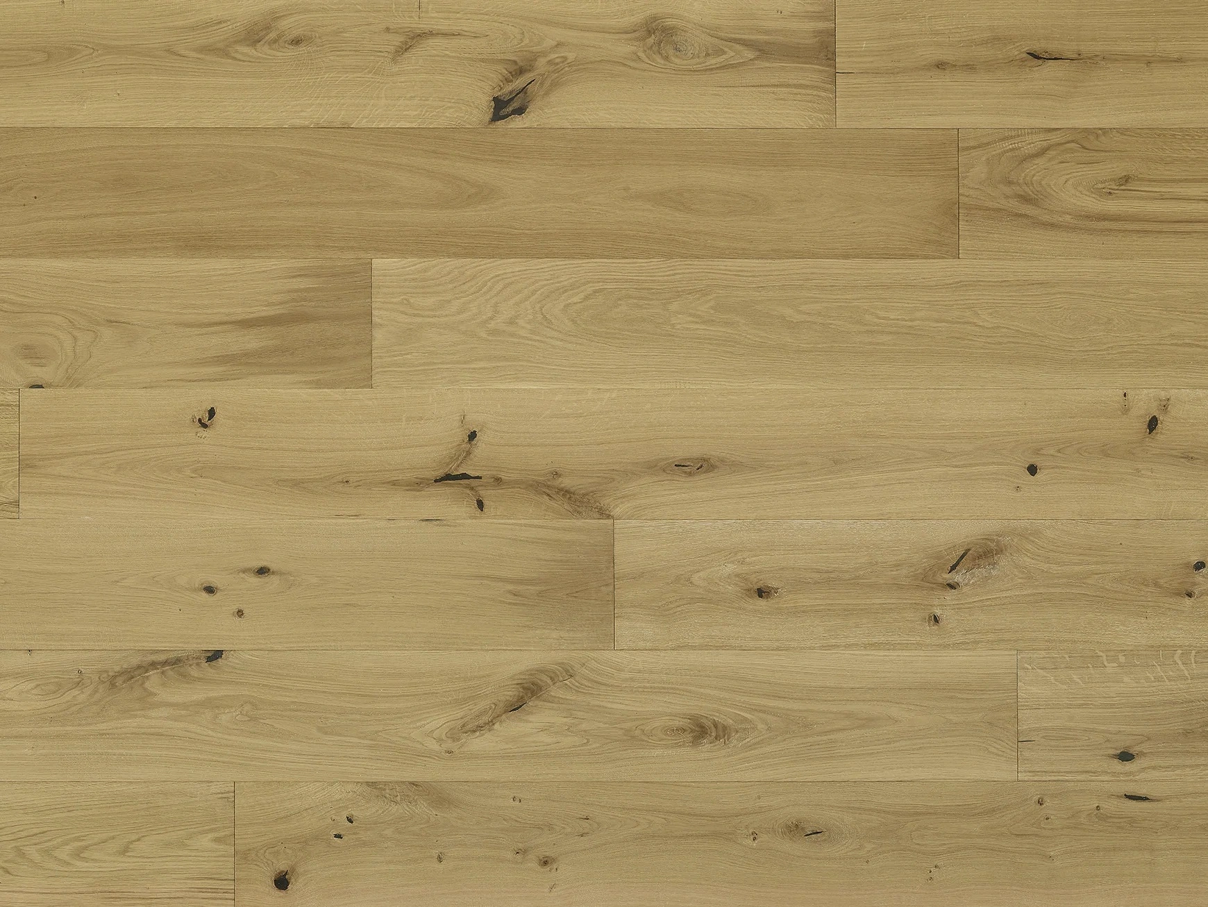 Costa European Oak Vasto