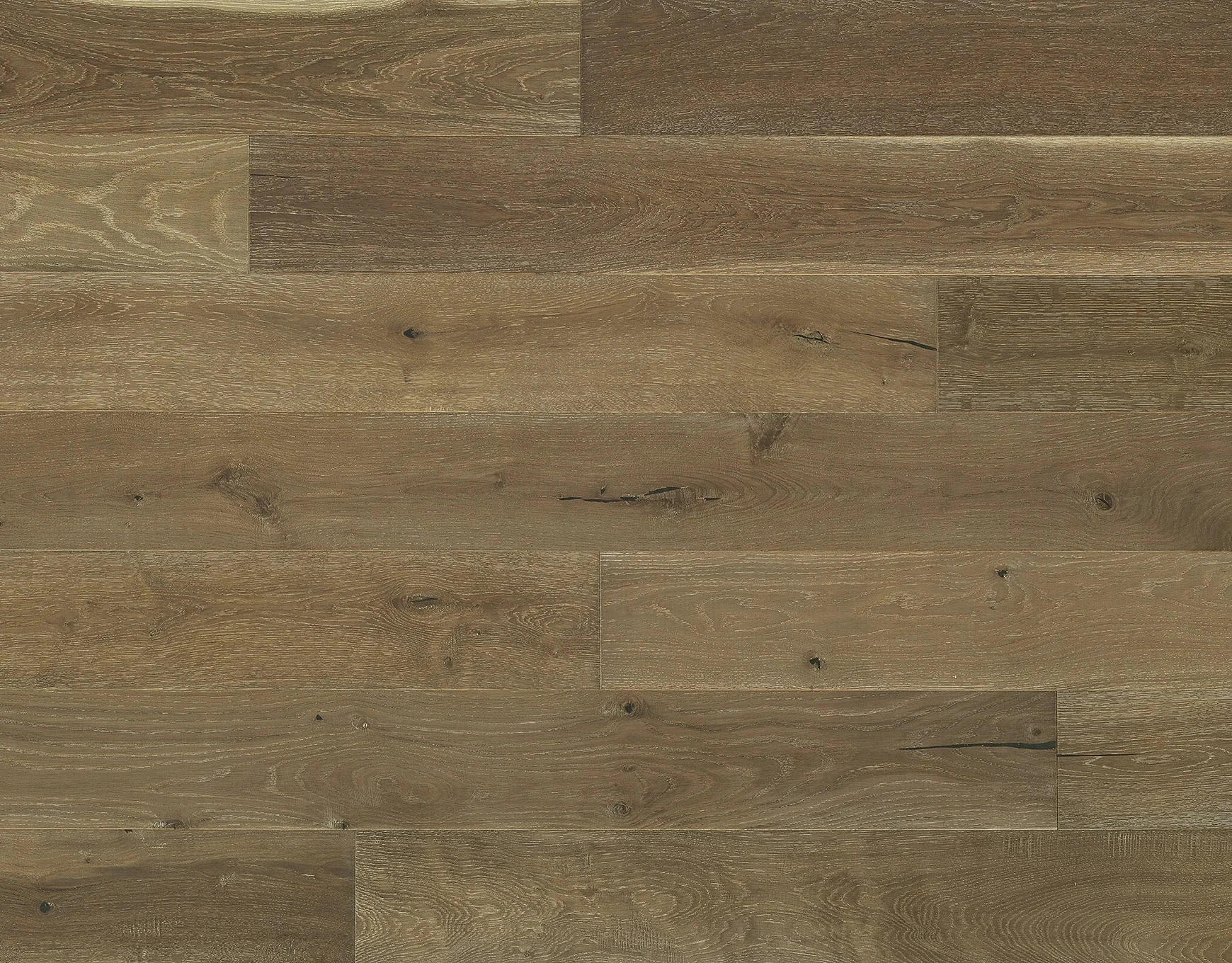 Costa European Oak Testa