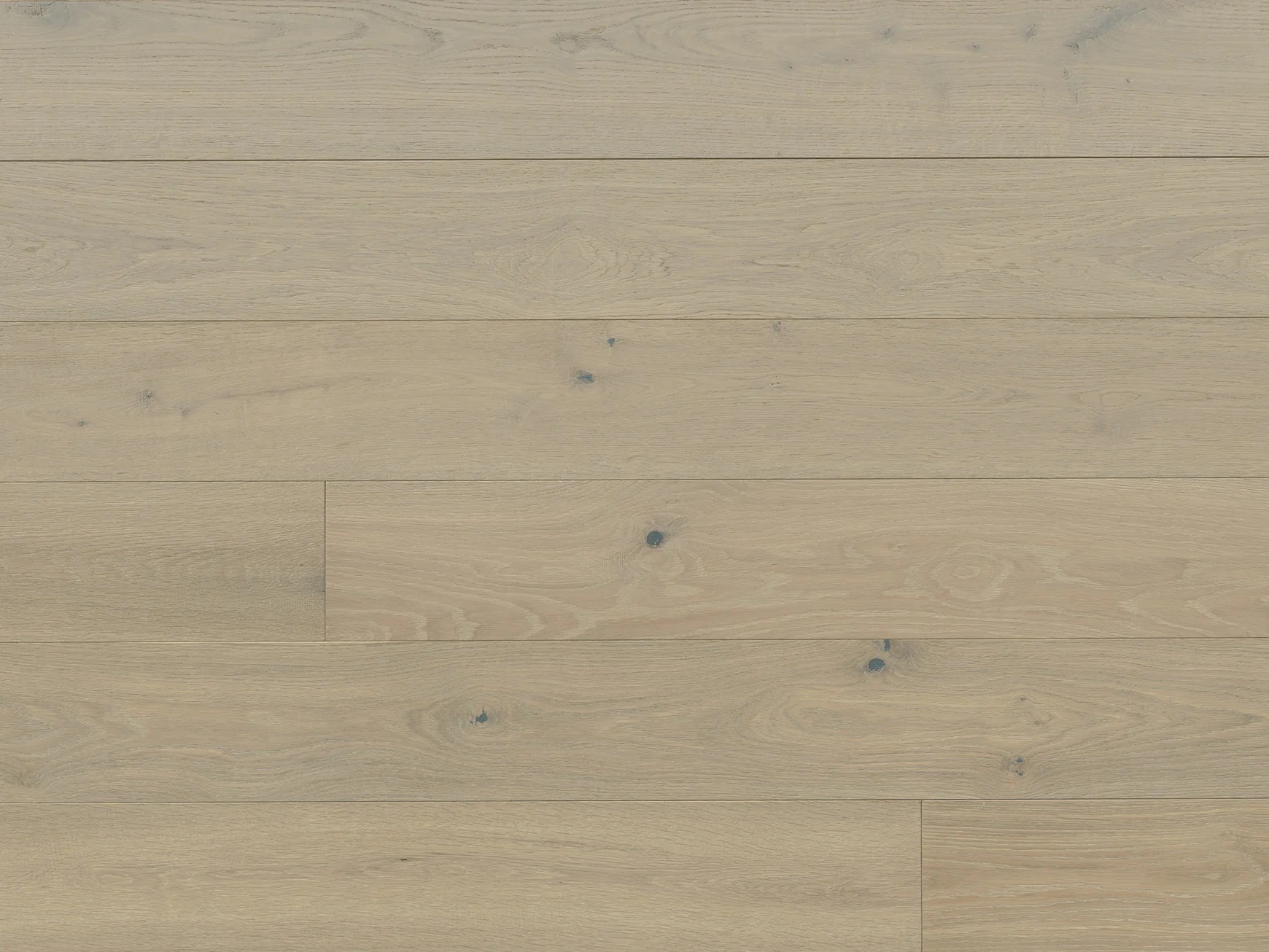 Costa European Oak Ancona