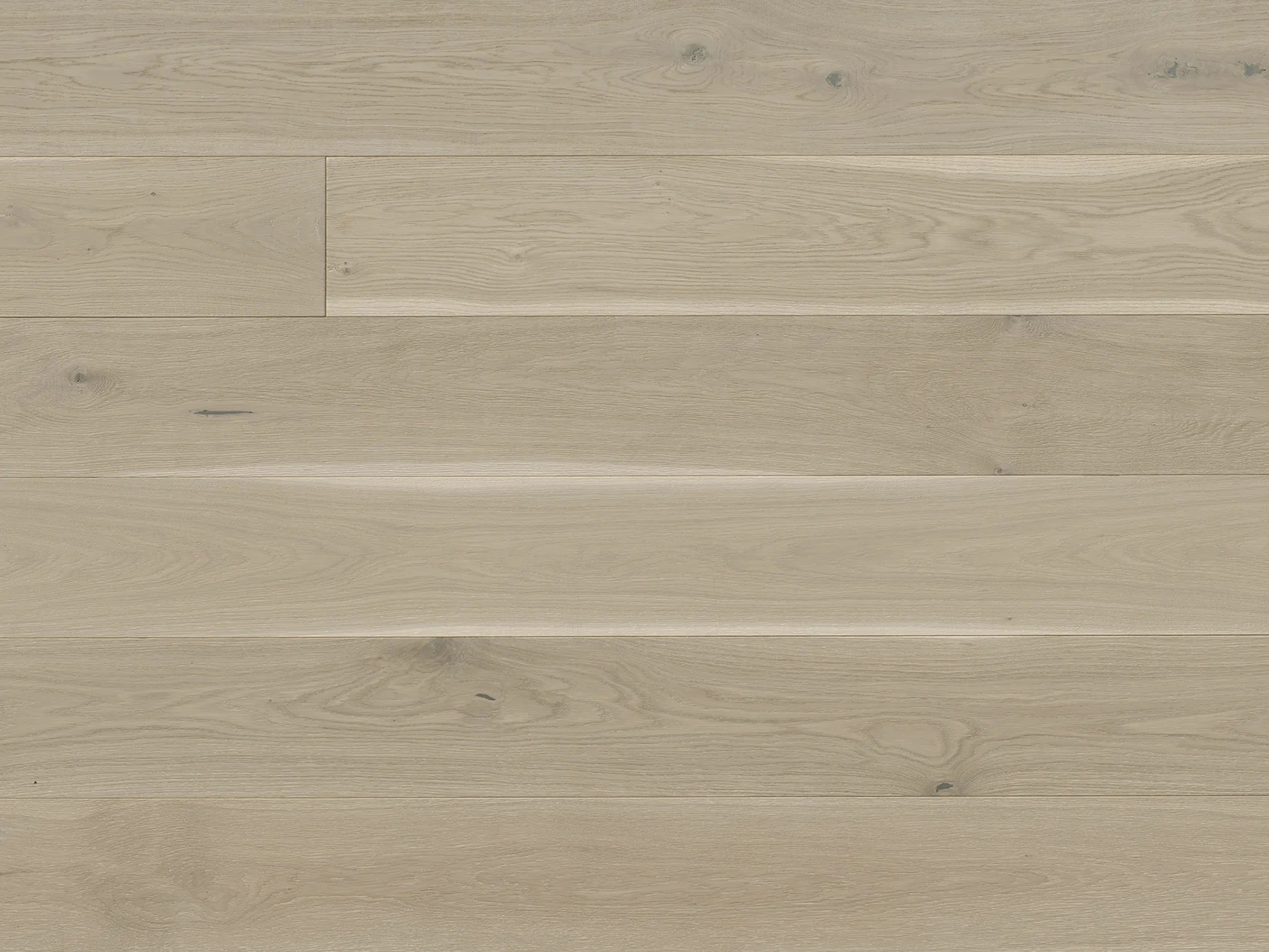 Costa European Oak Leone