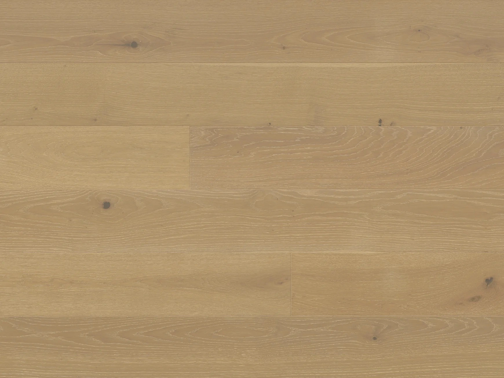 Provence III European Oak Lauron